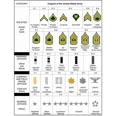 Insignia of the United States Army 24 x 36 Poster   273407859868